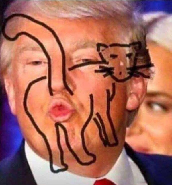 trump meme 5