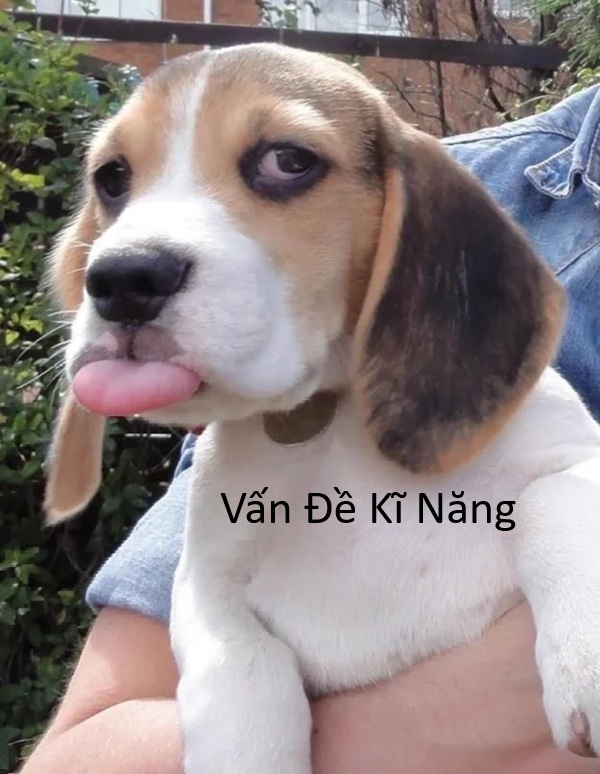 vấn đề kỹ năng meme 7