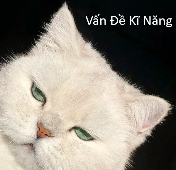 vấn đề kỹ năng meme 8
