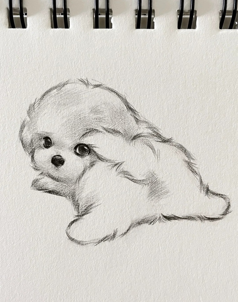 hình vẽ con vật dễ thương 12