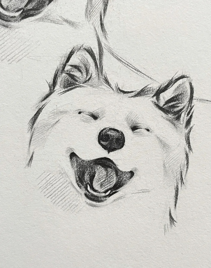 hình vẽ con vật dễ thương 21