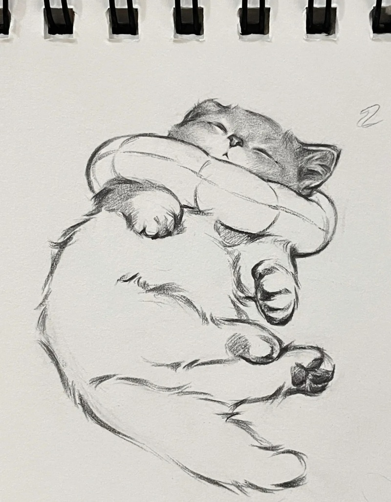 hình vẽ con vật dễ thương 22