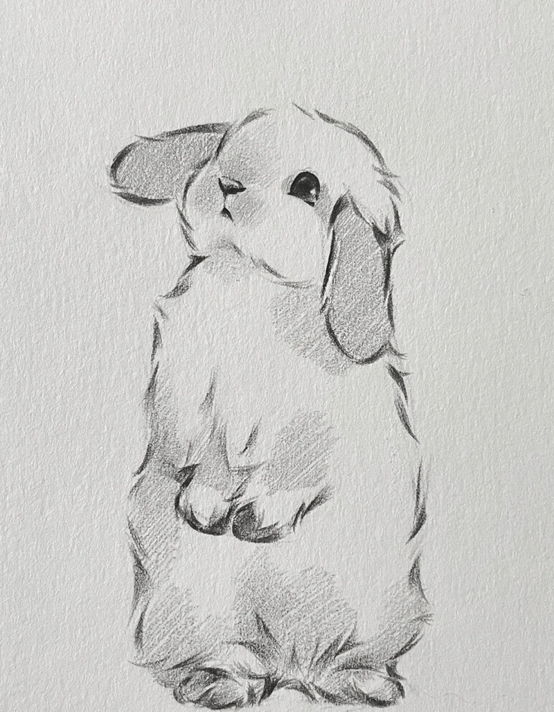 hình vẽ con vật dễ thương 23