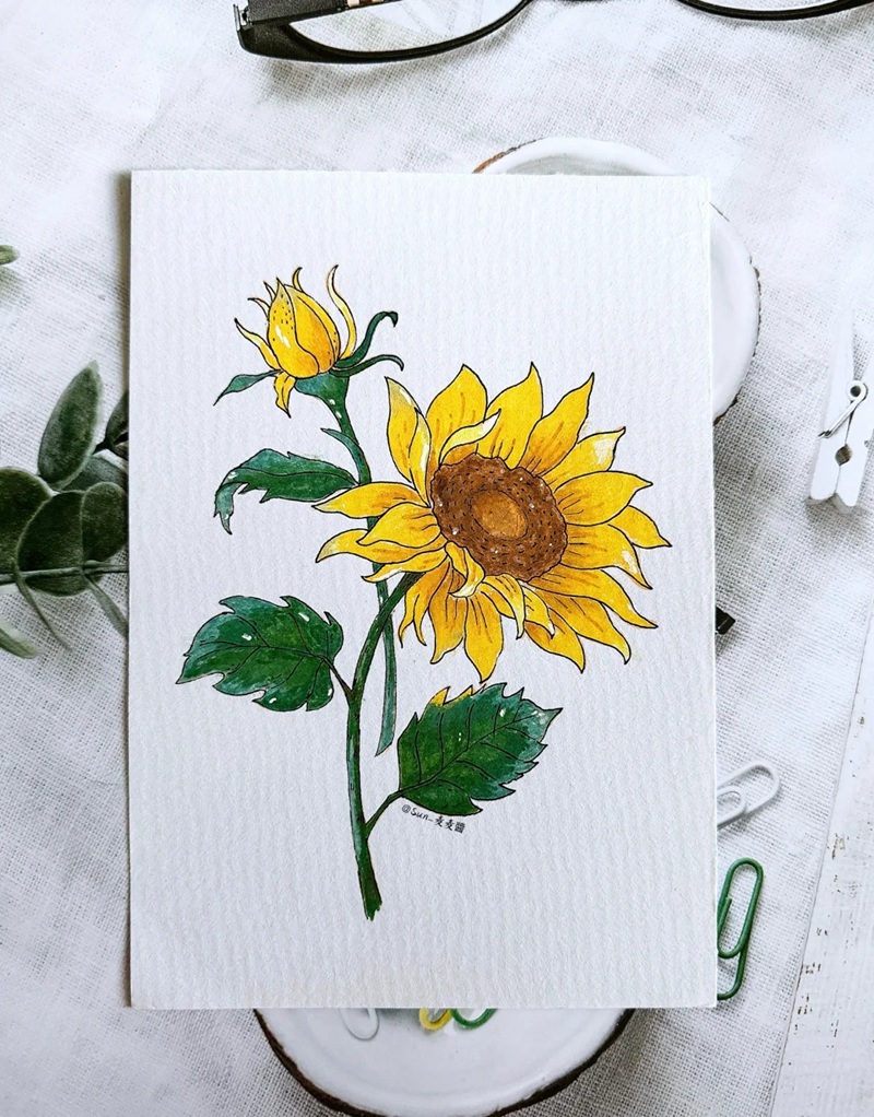 hình vẽ hoa hướng dương 11