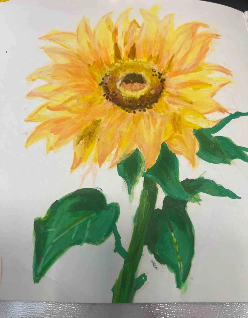 hình vẽ hoa hướng dương 12