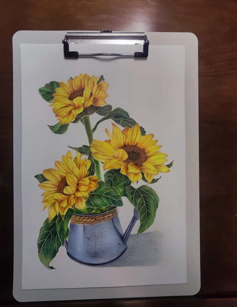 hình vẽ hoa hướng dương 15