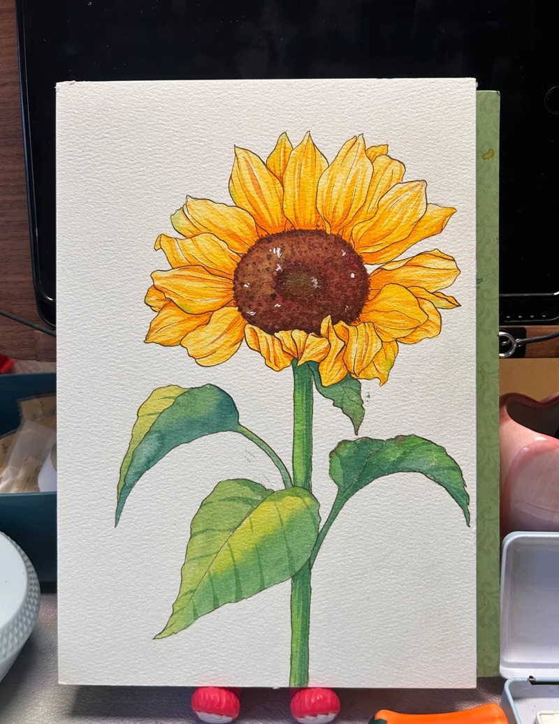hình vẽ hoa hướng dương 27