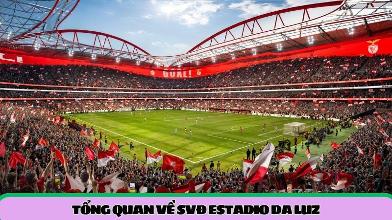 tong-quan-ve-svd-estadio-da-luz
