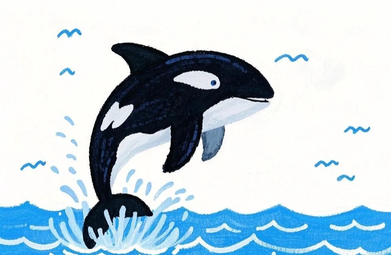 vẽ cá voi sát thủ​ 10