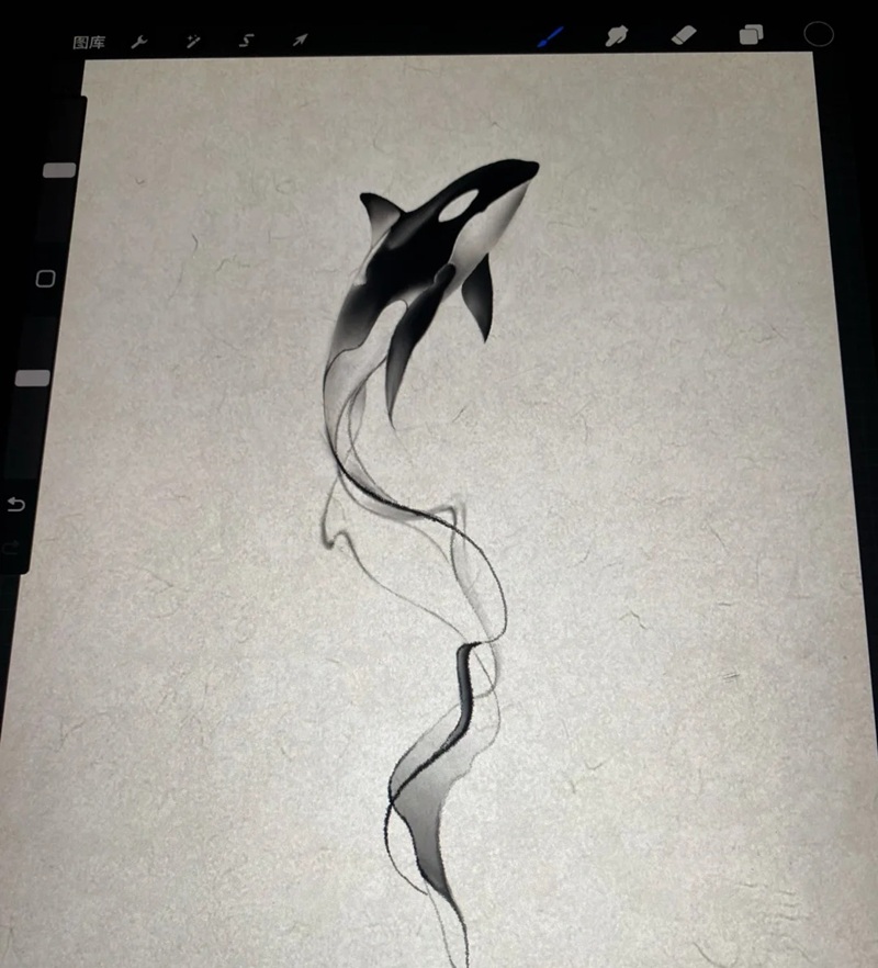 vẽ cá voi sát thủ​ 17