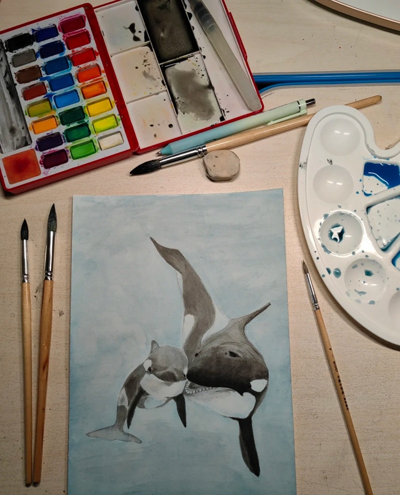 vẽ cá voi sát thủ​ 18