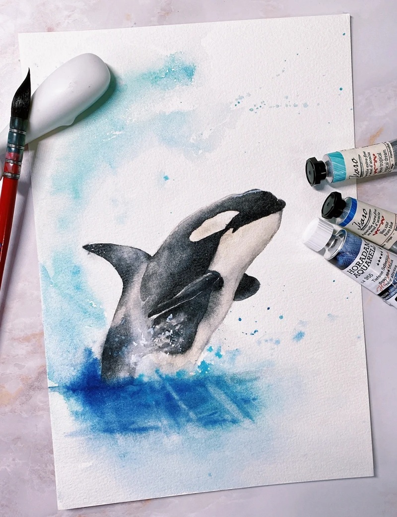 vẽ cá voi sát thủ​ 19