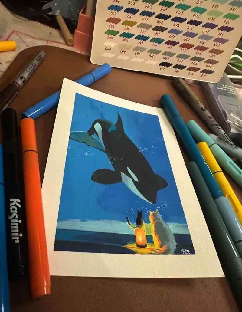 vẽ cá voi sát thủ​ 20