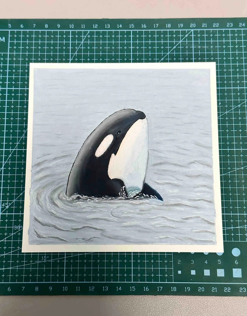 vẽ cá voi sát thủ​ 22