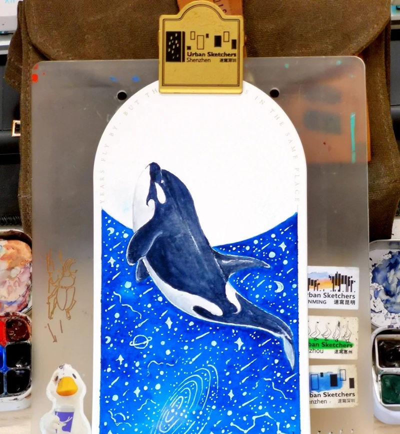 vẽ cá voi sát thủ​ 24