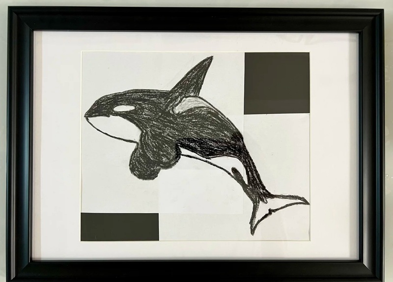 vẽ cá voi sát thủ​ 25