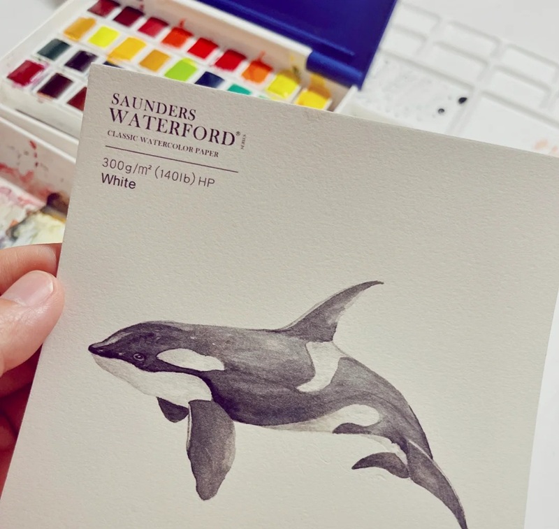 vẽ cá voi sát thủ​ 32