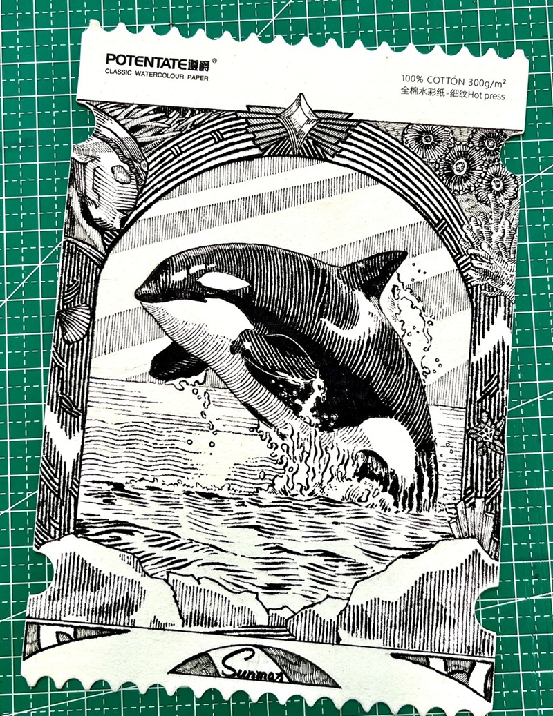 vẽ cá voi sát thủ​ 34