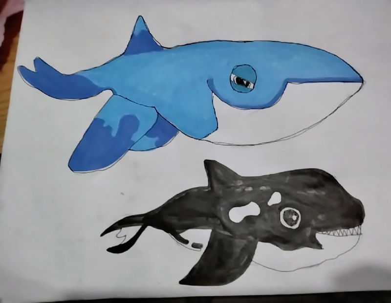 vẽ cá voi sát thủ​ 36
