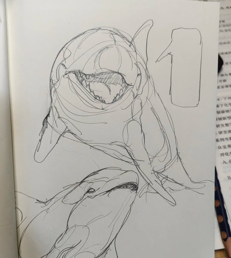 vẽ cá voi sát thủ​ 38