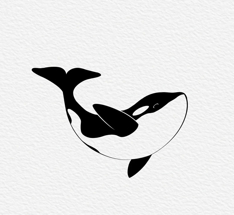 vẽ cá voi sát thủ​ 4