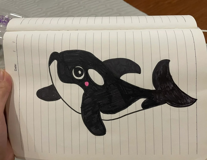 vẽ cá voi sát thủ​ 5