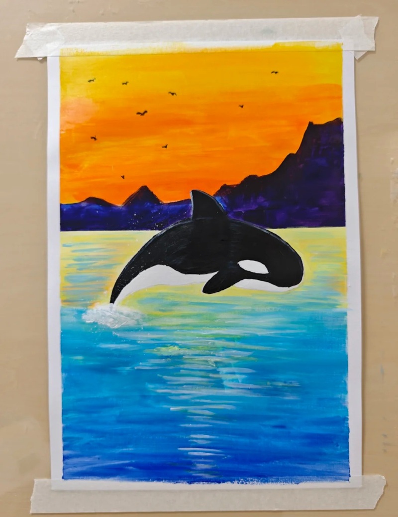 vẽ cá voi sát thủ​ 6