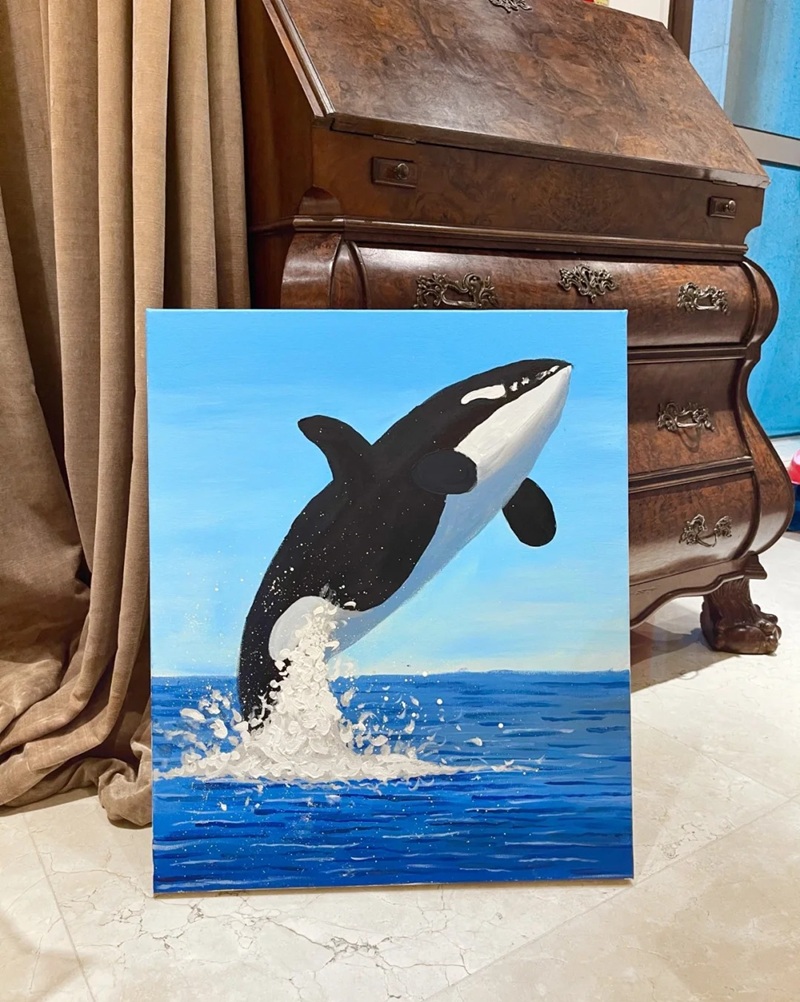 vẽ cá voi sát thủ​ 7