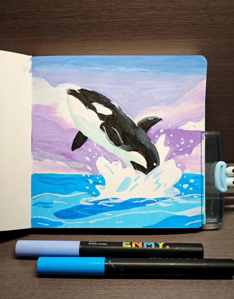 vẽ cá voi sát thủ​ 8