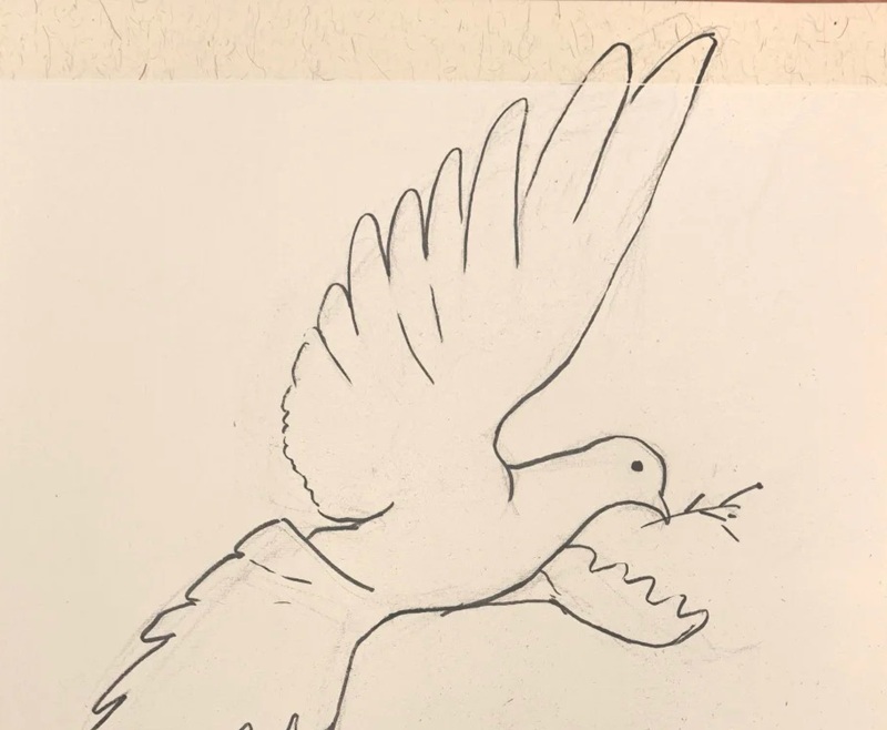 vẽ chim bồ câu hòa bình 13