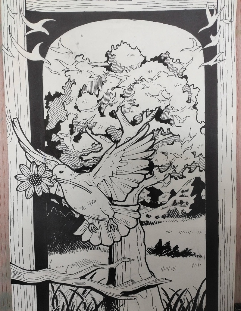 vẽ chim bồ câu hòa bình 18