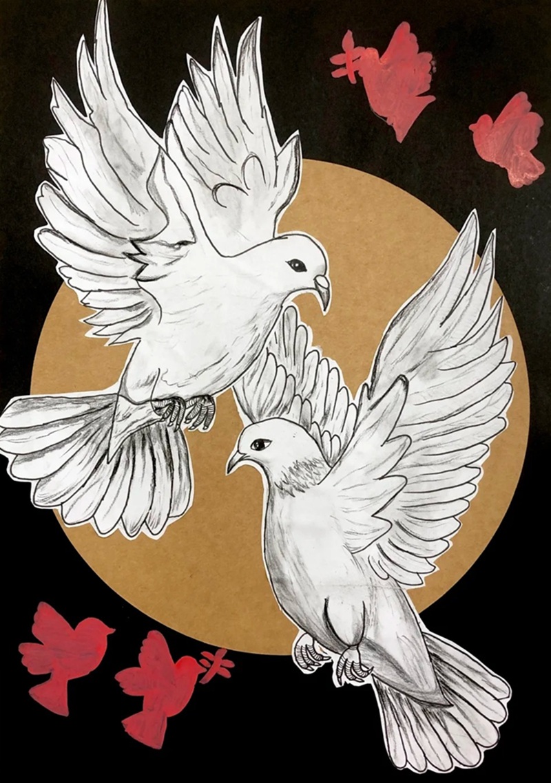 vẽ chim bồ câu hòa bình 22