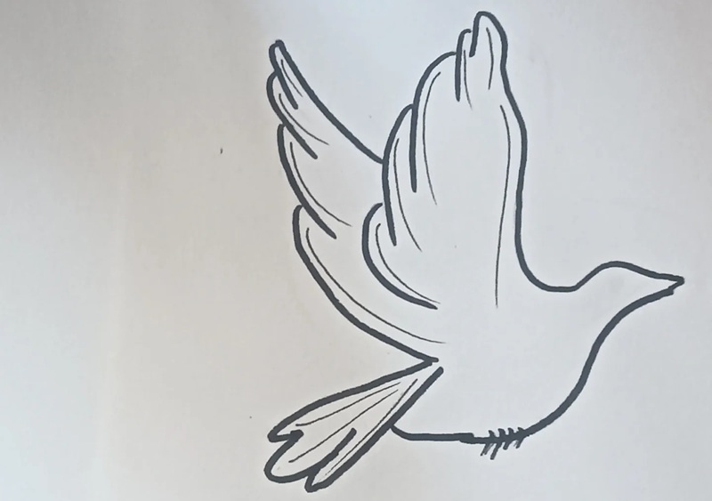 vẽ chim bồ câu hòa bình 26