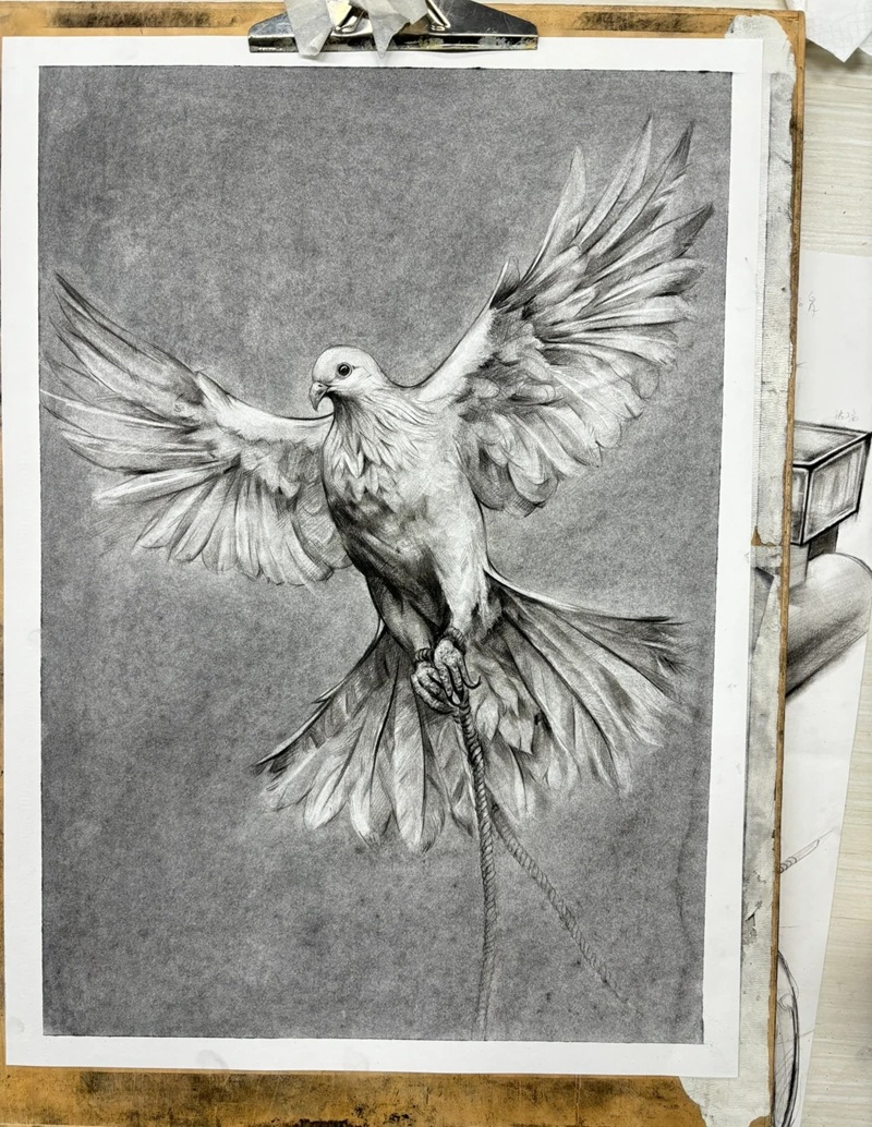 vẽ chim bồ câu hòa bình 37