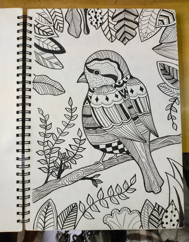 vẽ chim bồ câu hòa bình 40