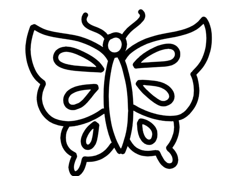 vẽ con bướm đơn giản​ 17