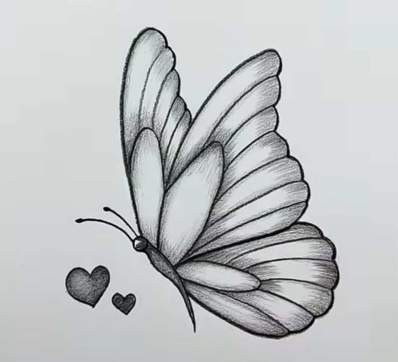 vẽ con bướm đơn giản​ 3