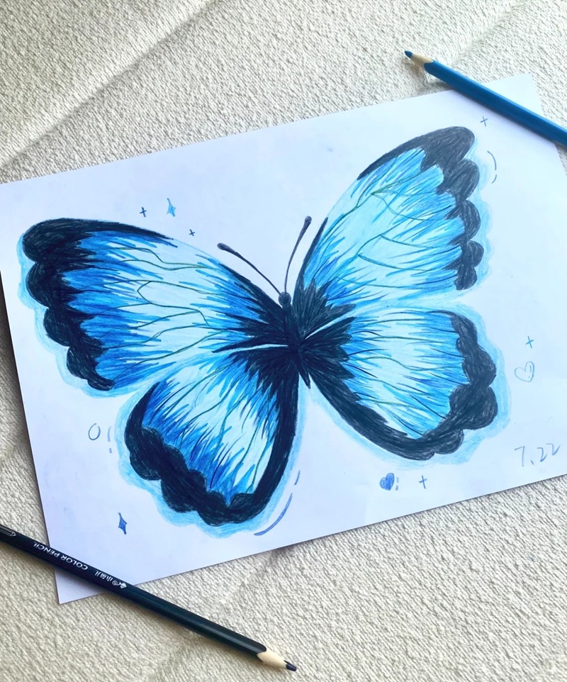 vẽ con bướm đơn giản​ 31