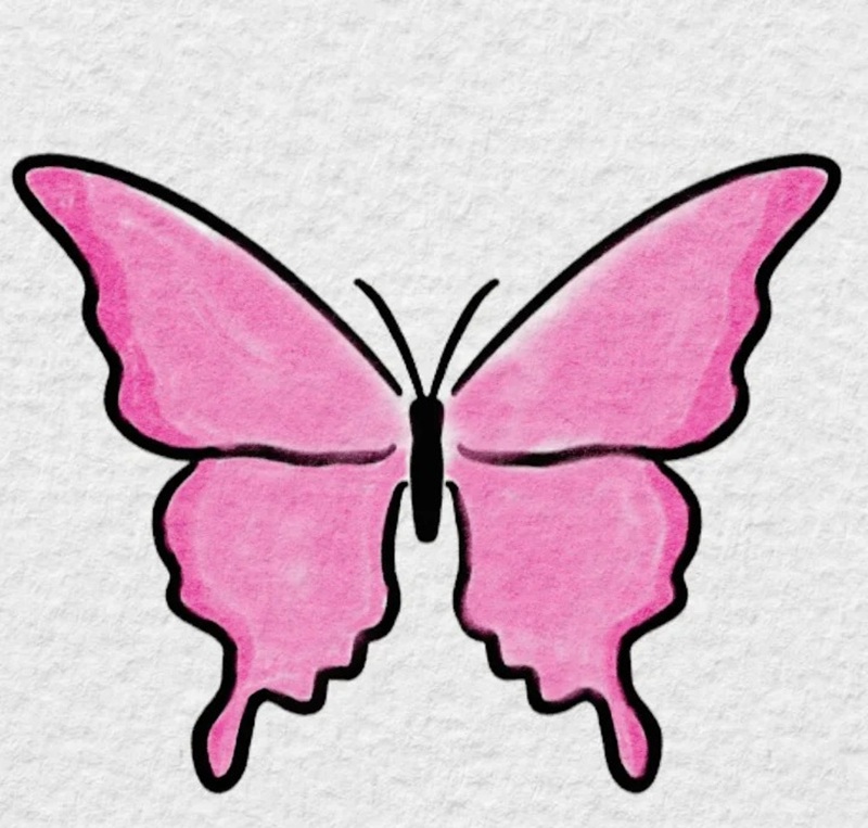 vẽ con bướm đơn giản​ 33