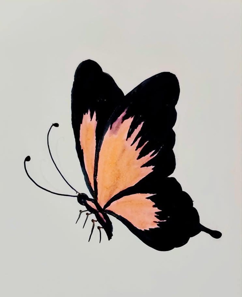 vẽ con bướm đơn giản​ 4