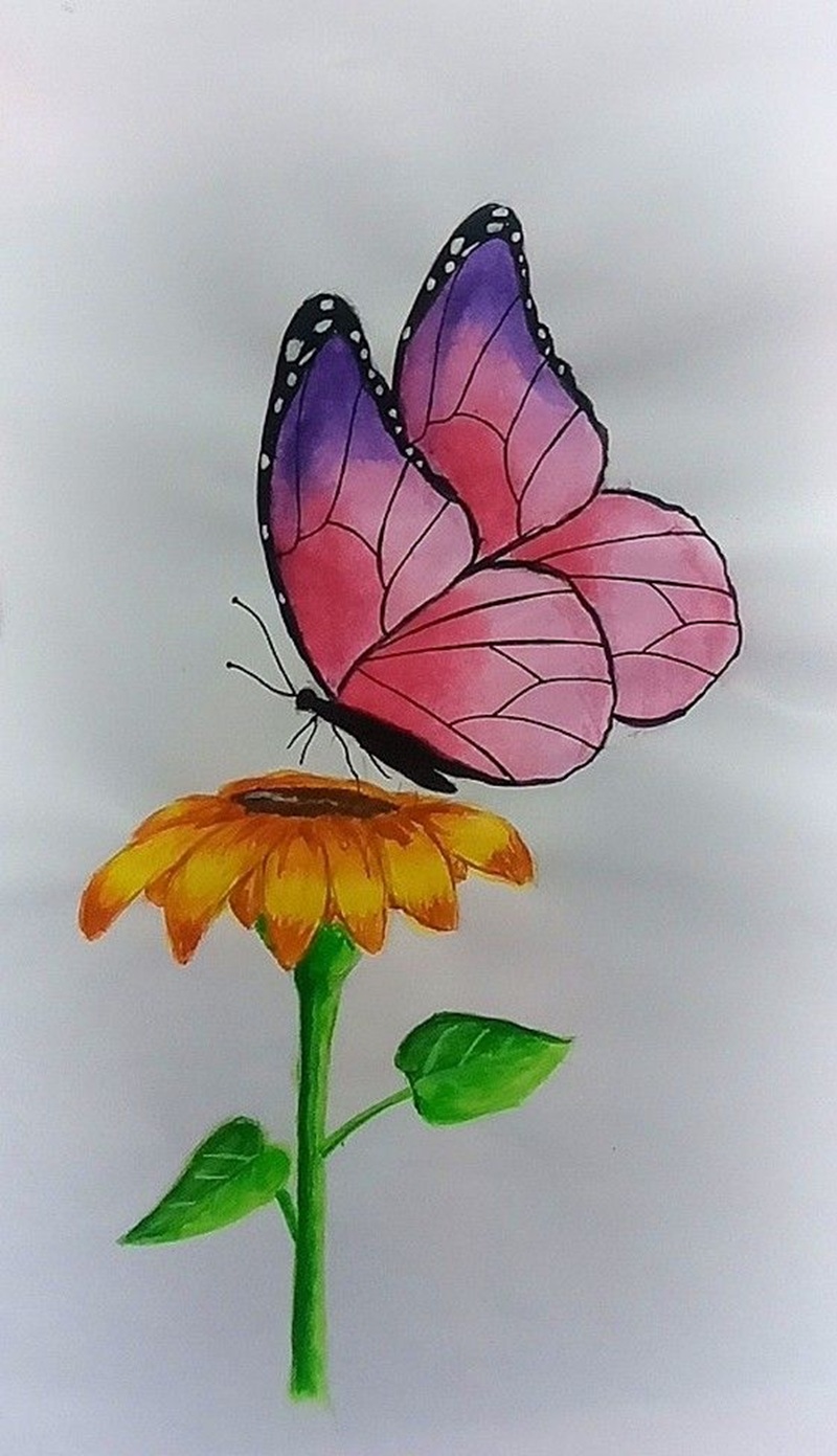 vẽ con bướm đơn giản​ 5