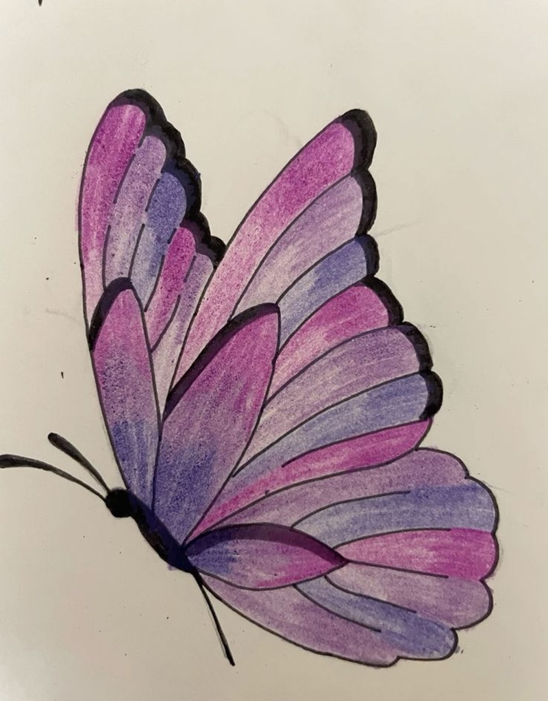 vẽ con bướm đơn giản​ 6