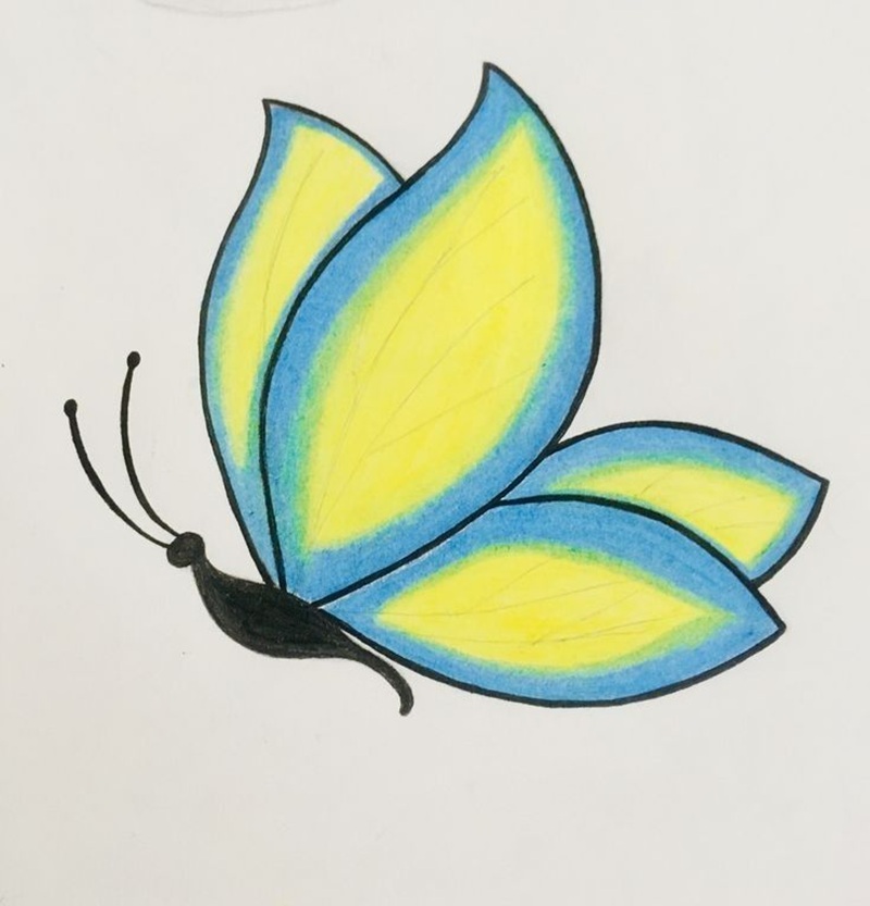 vẽ con bướm đơn giản​ 7