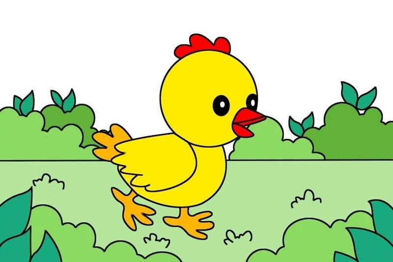 vẽ con gà con​ 8