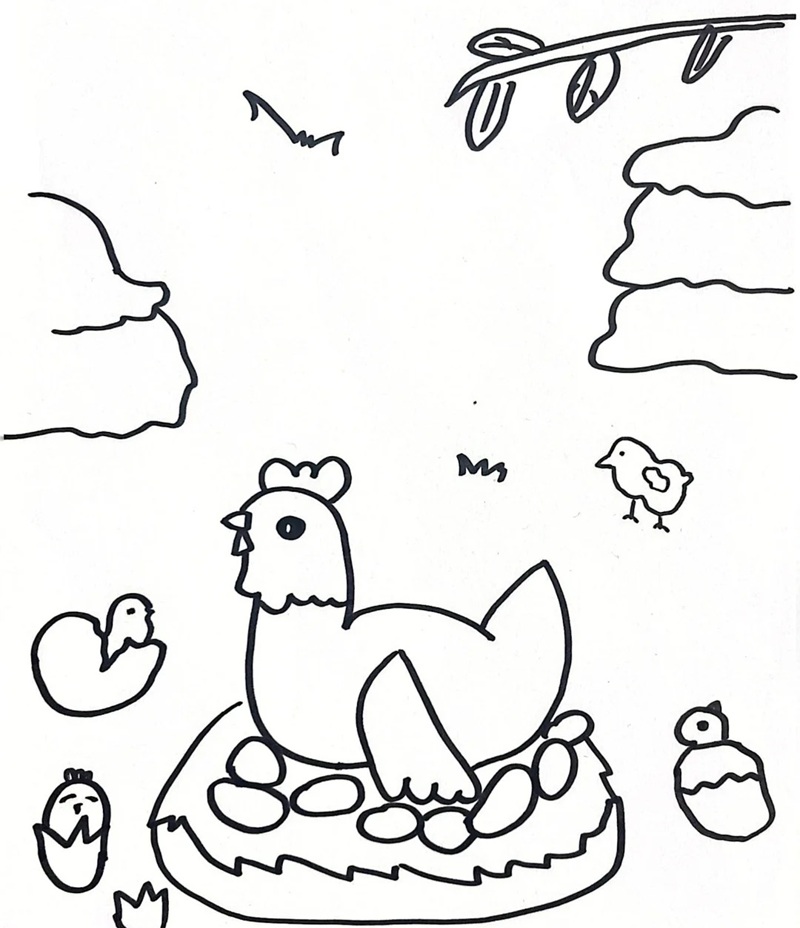 vẽ con gà mái​​ 13