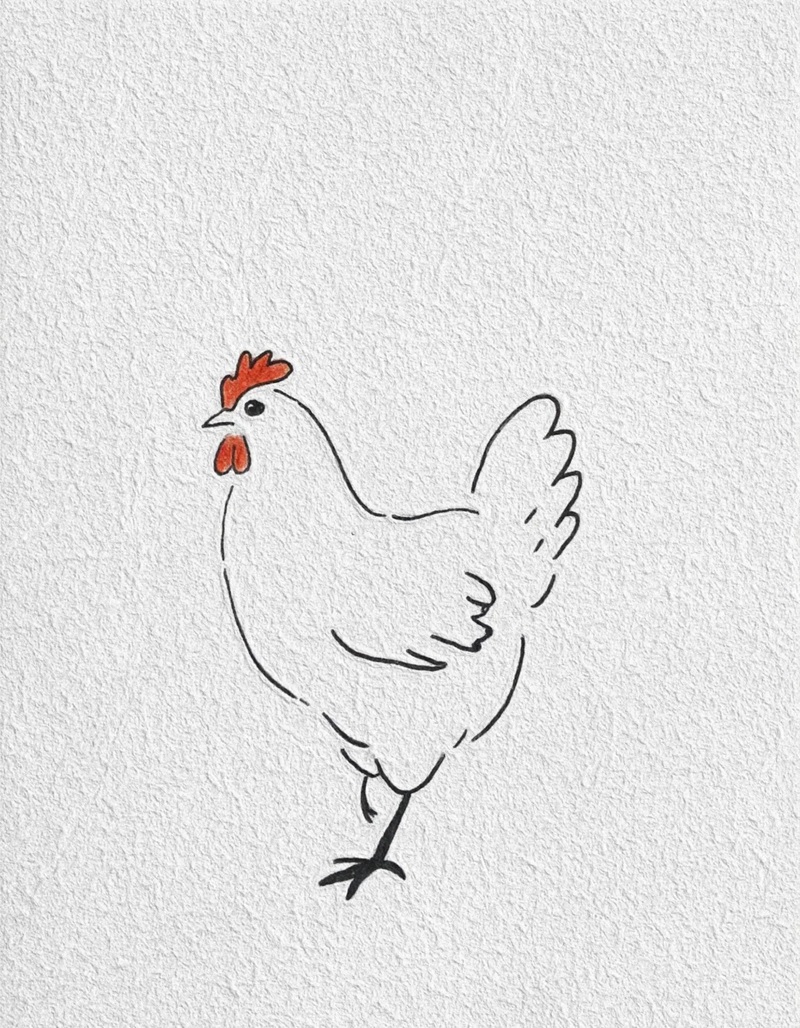 vẽ con gà mái​​ 19