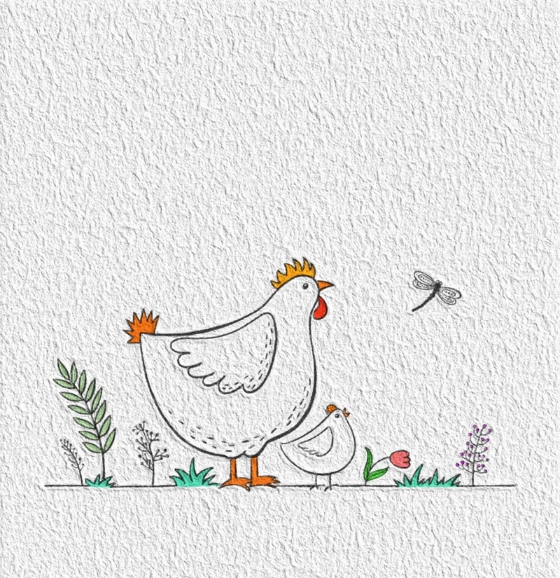 vẽ con gà mái​​ 21