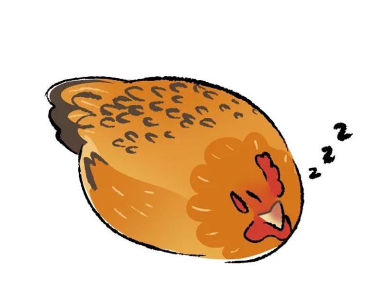 vẽ con gà mái​​ 22