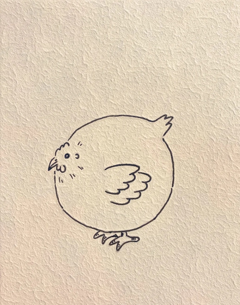 vẽ con gà mái​​ 32