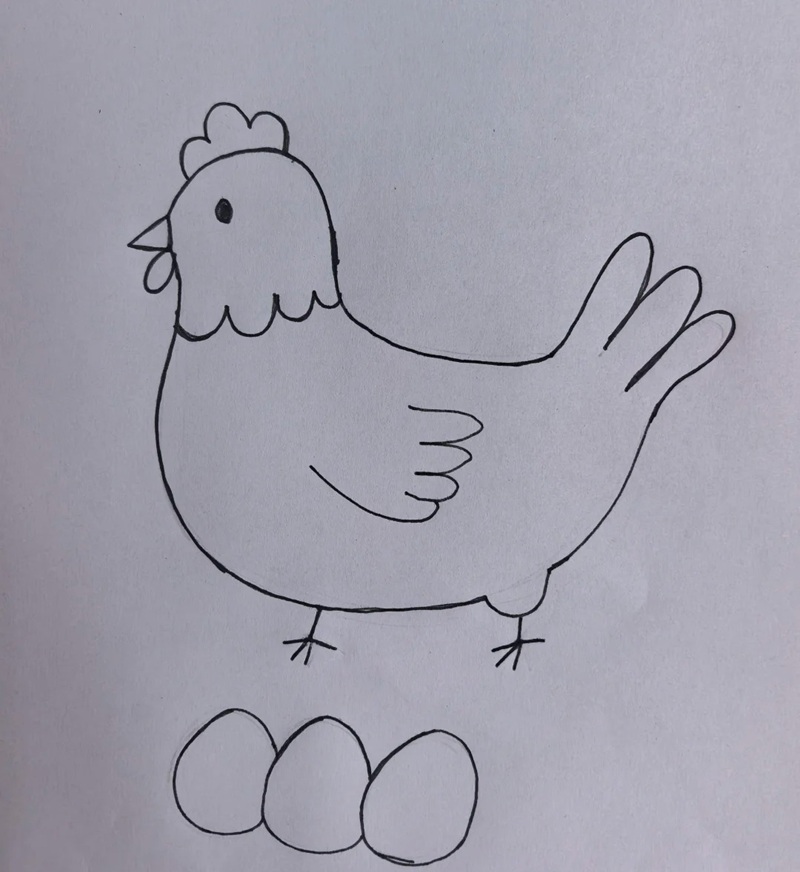 vẽ con gà mái​​ 4